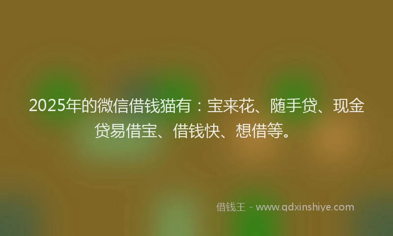 2025年的微信借钱猫有：宝来花、随手贷、现金贷易借宝、借钱快、想借等。