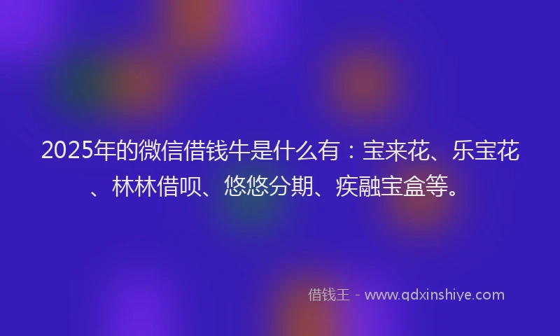 2025年的微信借钱牛是什么有：宝来花、乐宝花、林林借呗、悠悠分期、疾融宝盒等。