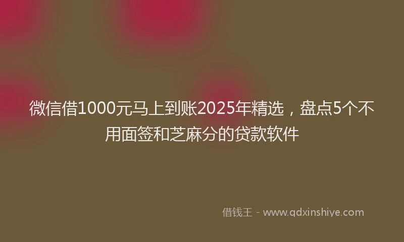 微信借1000元马上到账2025年精选，盘点5个不用面签和芝麻分的贷款软件