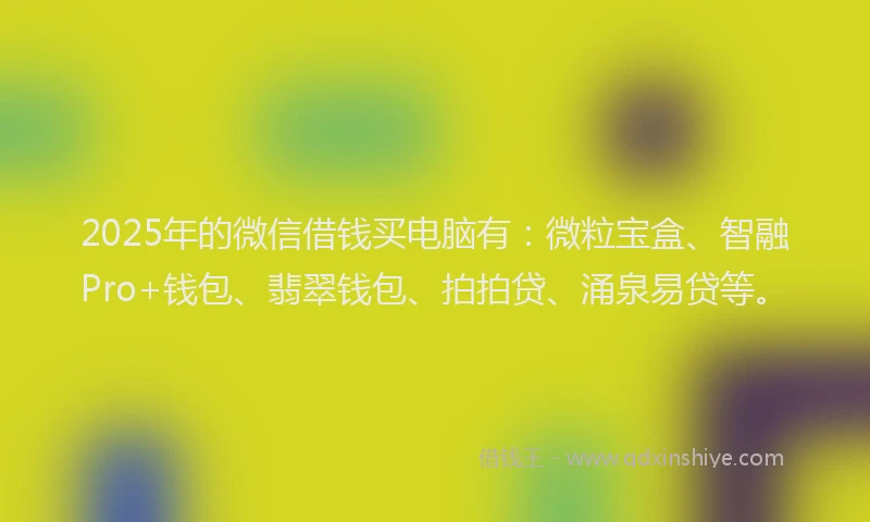 2025年的微信借钱买电脑有：微粒宝盒、智融Pro+钱包、翡翠钱包、拍拍贷、涌泉易贷等。