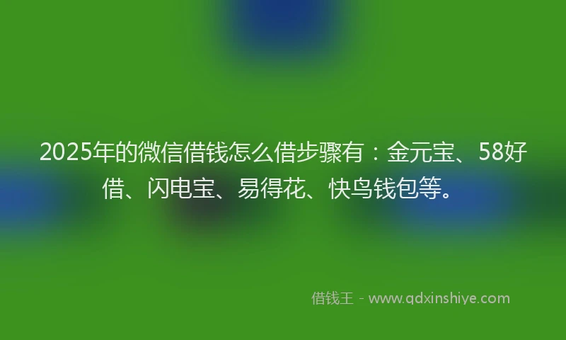 2025年的微信借钱怎么借步骤有：金元宝、58好借、闪电宝、易得花、快鸟钱包等。