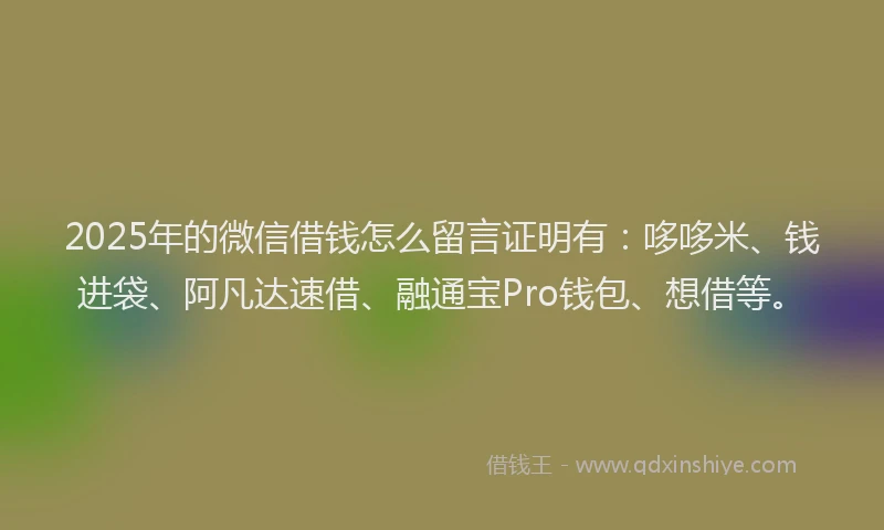 2025年的微信借钱怎么留言证明有：哆哆米、钱进袋、阿凡达速借、融通宝Pro钱包、想借等。