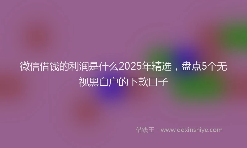 微信借钱的利润是什么2025年精选，盘点5个无视黑白户的下款口子