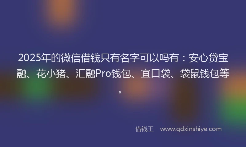 2025年的微信借钱只有名字可以吗有：安心贷宝融、花小猪、汇融Pro钱包、宜口袋、袋鼠钱包等。