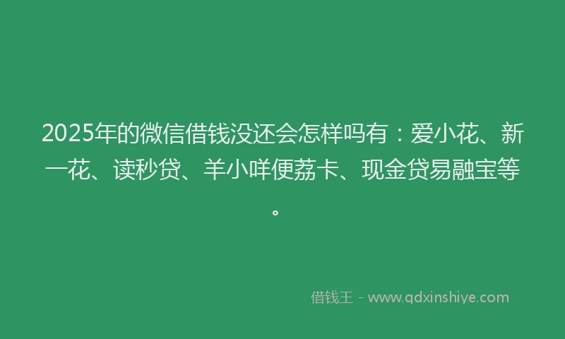 2025年的微信借钱没还会怎样吗有：爱小花、新一花、读秒贷、羊小咩便荔卡、现金贷易融宝等。