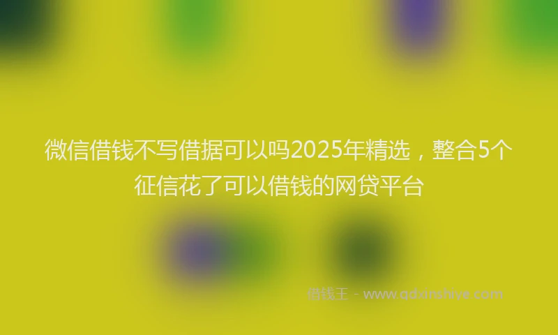 微信借钱不写借据可以吗2025年精选，整合5个征信花了可以借钱的网贷平台