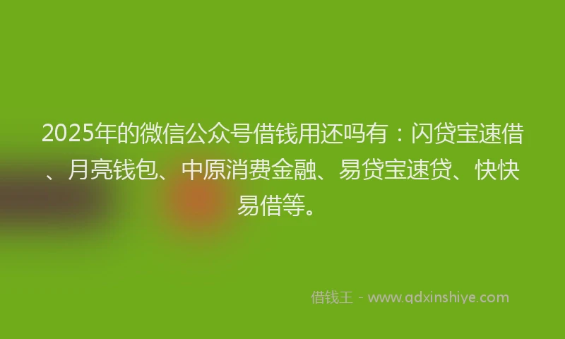 2025年的微信公众号借钱用还吗有：闪贷宝速借、月亮钱包、中原消费金融、易贷宝速贷、快快易借等。
