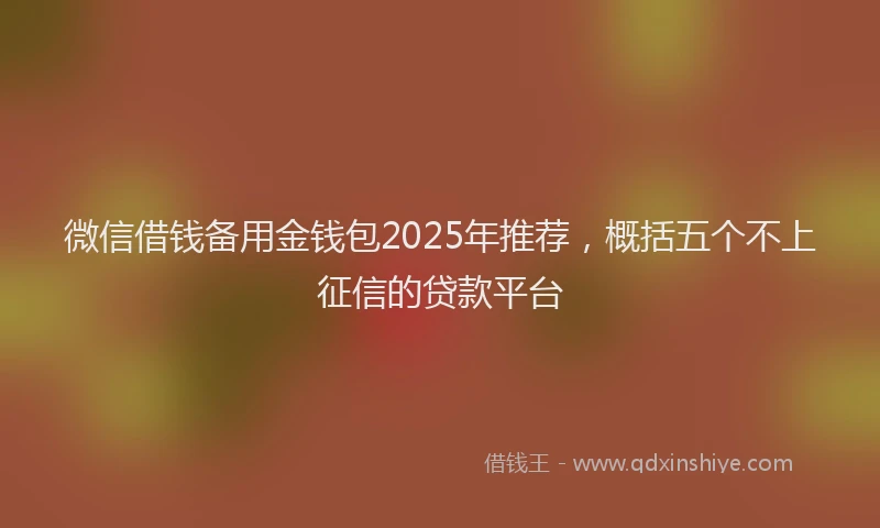微信借钱备用金钱包2025年推荐，概括五个不上征信的贷款平台