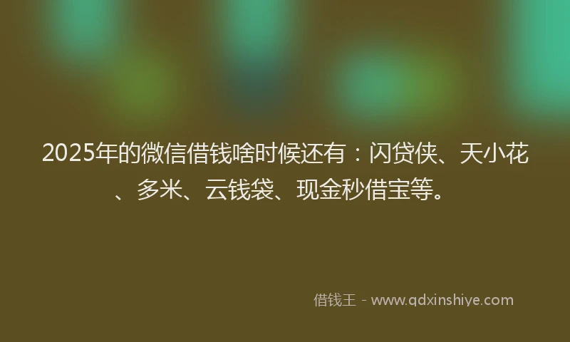 2025年的微信借钱啥时候还有：闪贷侠、天小花、多米、云钱袋、现金秒借宝等。