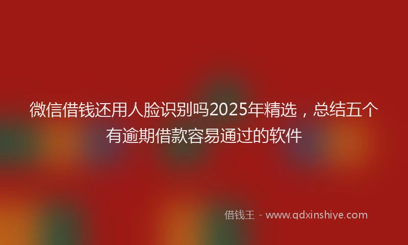 微信借钱还用人脸识别吗2025年精选，总结五个有逾期借款容易通过的软件