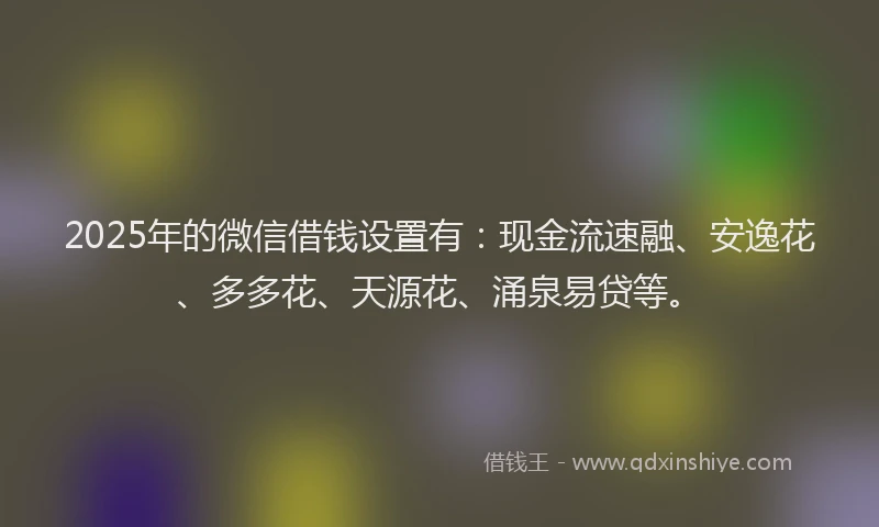 2025年的微信借钱设置有：现金流速融、安逸花、多多花、天源花、涌泉易贷等。