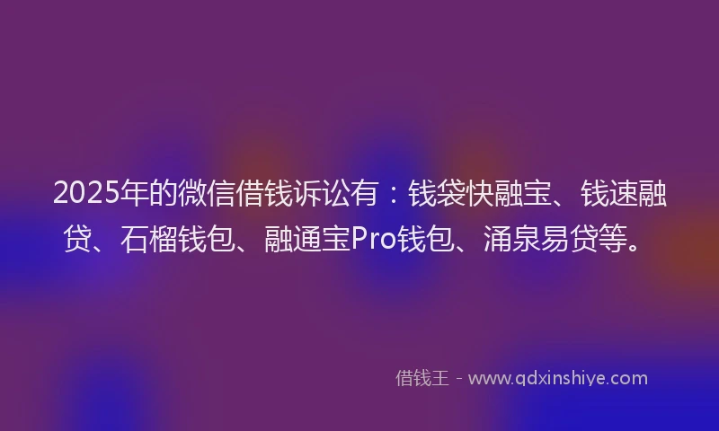 2025年的微信借钱诉讼有：钱袋快融宝、钱速融贷、石榴钱包、融通宝Pro钱包、涌泉易贷等。
