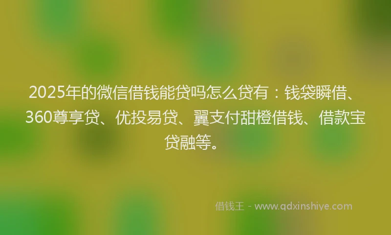 2025年的微信借钱能贷吗怎么贷有：钱袋瞬借、360尊享贷、优投易贷、翼支付甜橙借钱、借款宝贷融等。