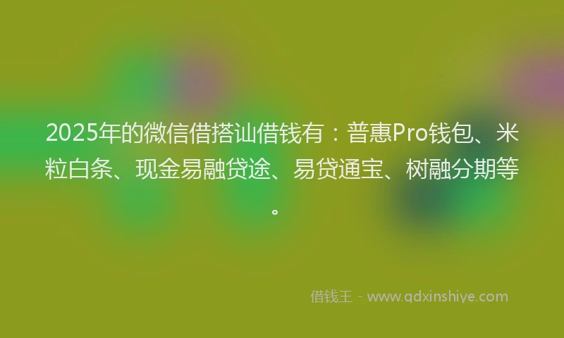 2025年的微信借搭讪借钱有：普惠Pro钱包、米粒白条、现金易融贷途、易贷通宝、树融分期等。