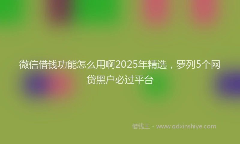 微信借钱功能怎么用啊2025年精选，罗列5个网贷黑户必过平台