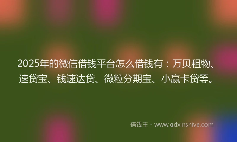 2025年的微信借钱平台怎么借钱有：万贝租物、速贷宝、钱速达贷、微粒分期宝、小赢卡贷等。