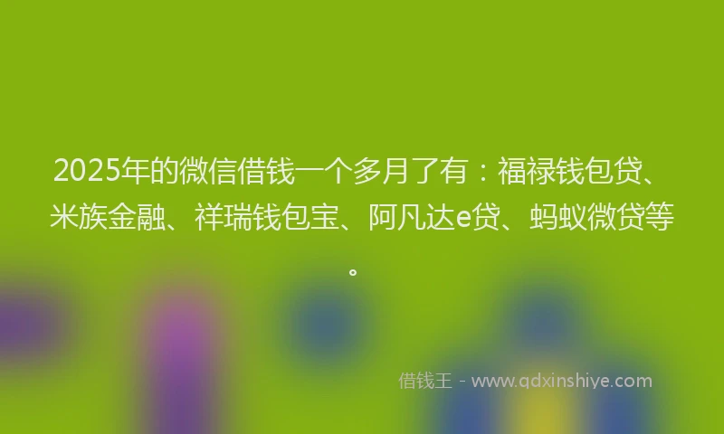 2025年的微信借钱一个多月了有：福禄钱包贷、米族金融、祥瑞钱包宝、阿凡达e贷、蚂蚁微贷等。