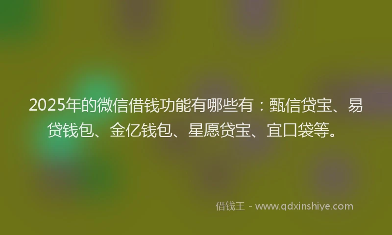 2025年的微信借钱功能有哪些有：甄信贷宝、易贷钱包、金亿钱包、星愿贷宝、宜口袋等。