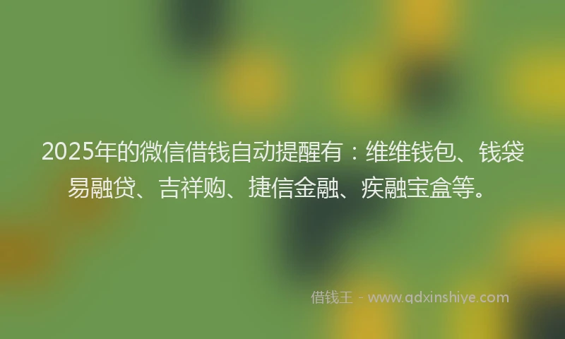 2025年的微信借钱自动提醒有：维维钱包、钱袋易融贷、吉祥购、捷信金融、疾融宝盒等。