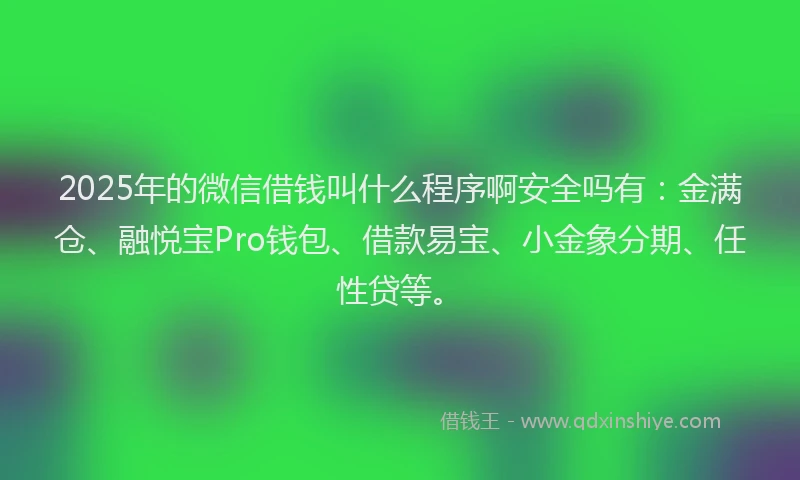 2025年的微信借钱叫什么程序啊安全吗有：金满仓、融悦宝Pro钱包、借款易宝、小金象分期、任性贷等。