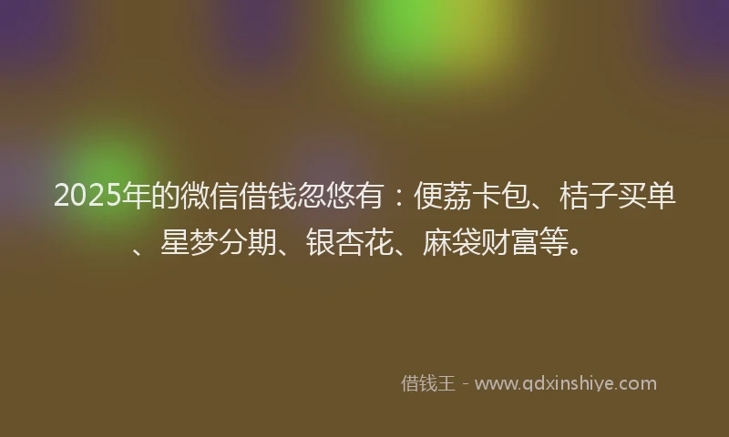 2025年的微信借钱忽悠有：便荔卡包、桔子买单、星梦分期、银杏花、麻袋财富等。