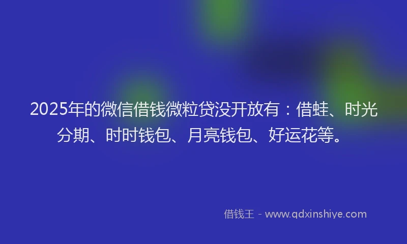 2025年的微信借钱微粒贷没开放有：借蛙、时光分期、时时钱包、月亮钱包、好运花等。