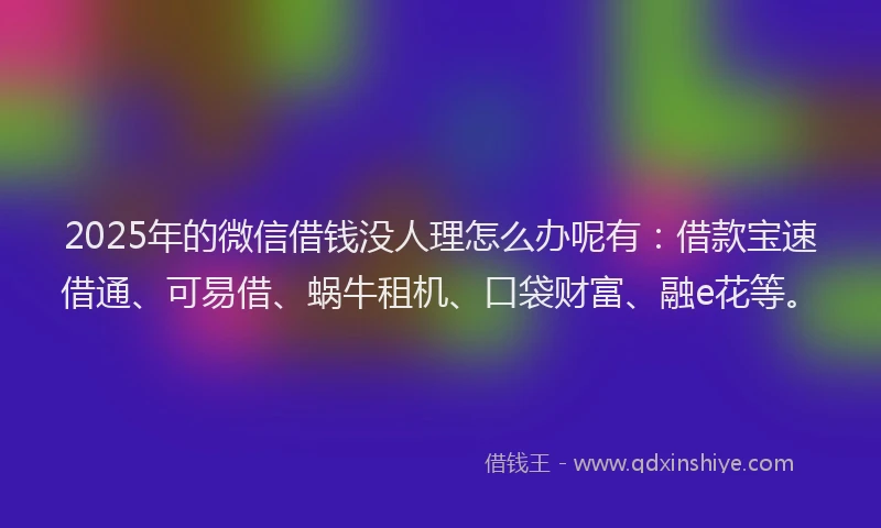 2025年的微信借钱没人理怎么办呢有：借款宝速借通、可易借、蜗牛租机、口袋财富、融e花等。