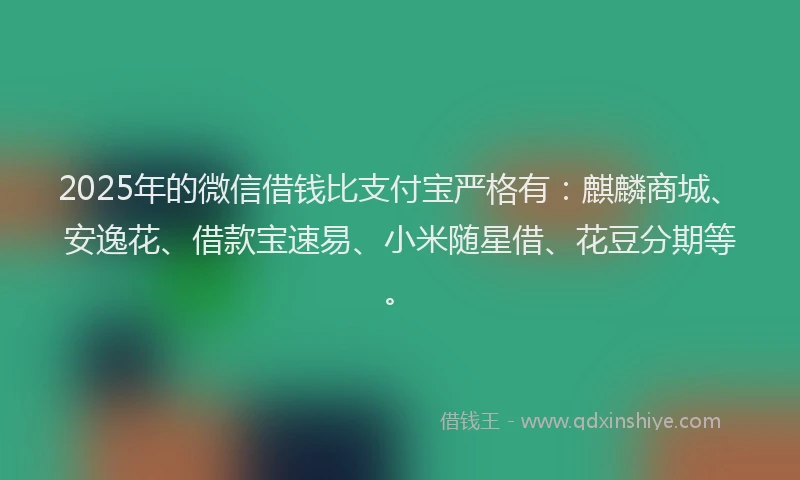 2025年的微信借钱比支付宝严格有：麒麟商城、安逸花、借款宝速易、小米随星借、花豆分期等。