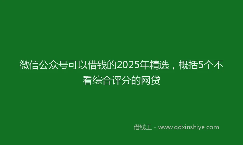 微信公众号可以借钱的2025年精选，概括5个不看综合评分的网贷