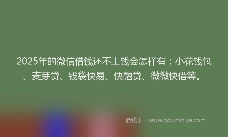 2025年的微信借钱还不上钱会怎样有：小花钱包、麦芽贷、钱袋快易、快融贷、微微快借等。