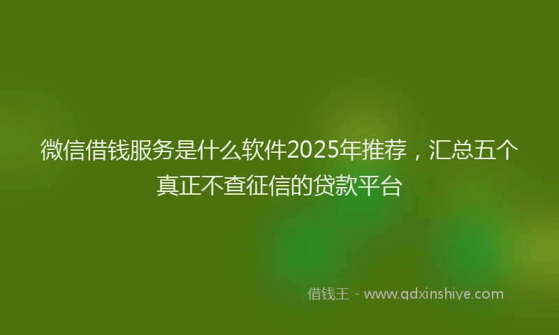 微信借钱服务是什么软件2025年推荐，汇总五个真正不查征信的贷款平台