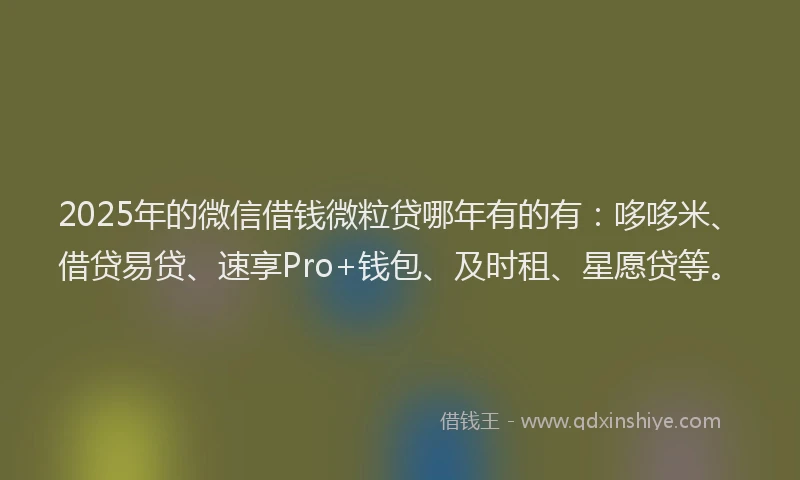 2025年的微信借钱微粒贷哪年有的有：哆哆米、借贷易贷、速享Pro+钱包、及时租、星愿贷等。