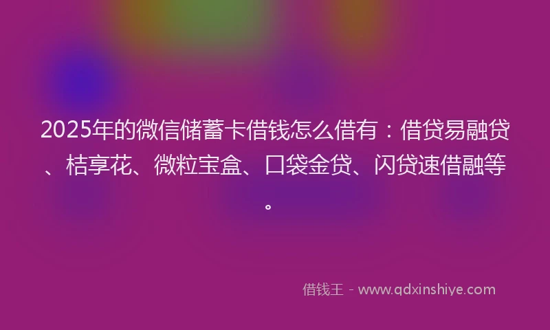 2025年的微信储蓄卡借钱怎么借有：借贷易融贷、桔享花、微粒宝盒、口袋金贷、闪贷速借融等。