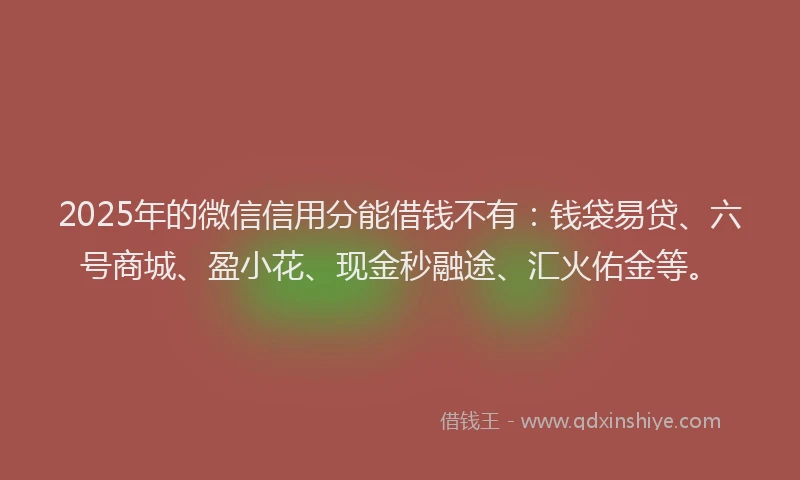 2025年的微信信用分能借钱不有：钱袋易贷、六号商城、盈小花、现金秒融途、汇火佑金等。