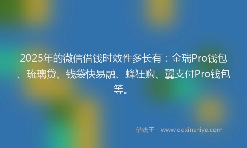 2025年的微信借钱时效性多长有：金瑞Pro钱包、琉璃贷、钱袋快易融、蜂狂购、翼支付Pro钱包等。