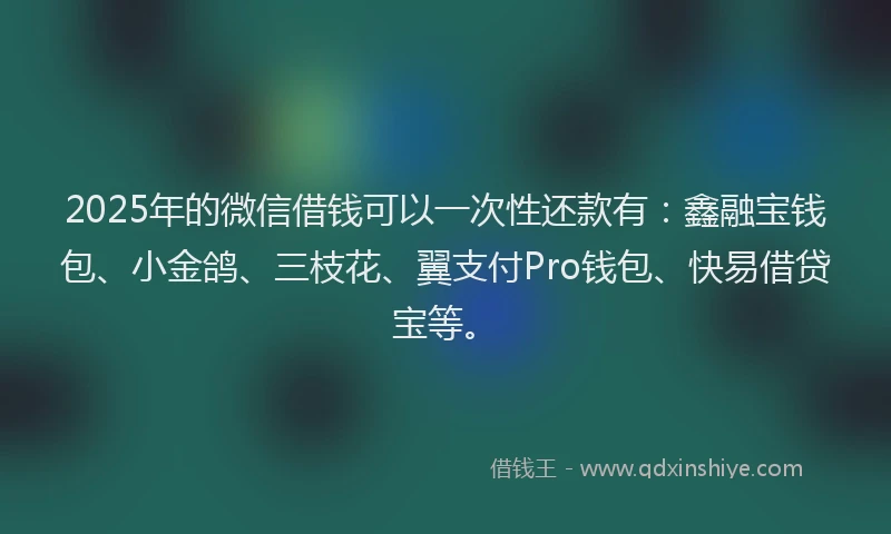2025年的微信借钱可以一次性还款有：鑫融宝钱包、小金鸽、三枝花、翼支付Pro钱包、快易借贷宝等。
