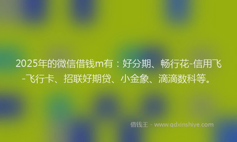 2025年的微信借钱m有：好分期、畅行花-信用飞-飞行卡、招联好期贷、小金象、滴滴数科等。