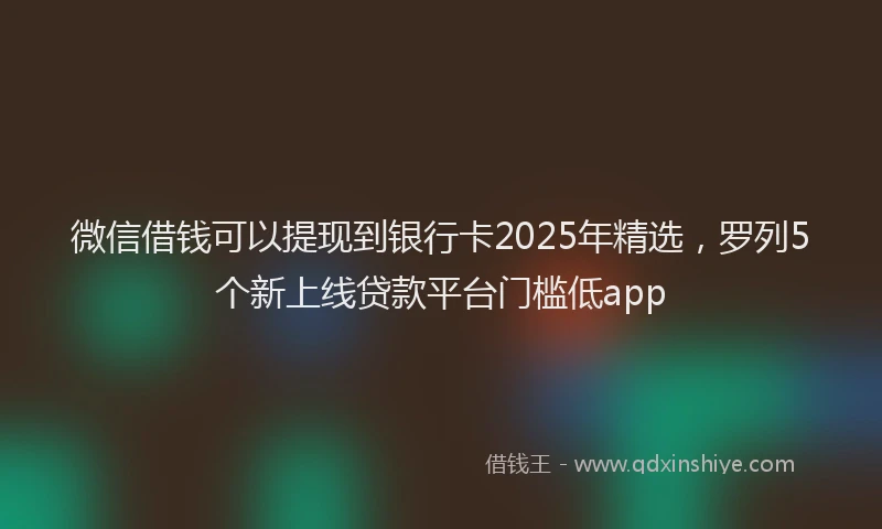 微信借钱可以提现到银行卡2025年精选，罗列5个新上线贷款平台门槛低app