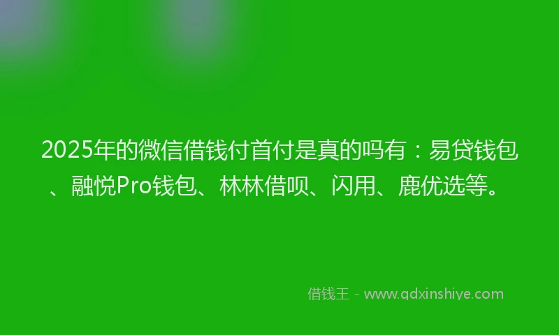 2025年的微信借钱付首付是真的吗有：易贷钱包、融悦Pro钱包、林林借呗、闪用、鹿优选等。