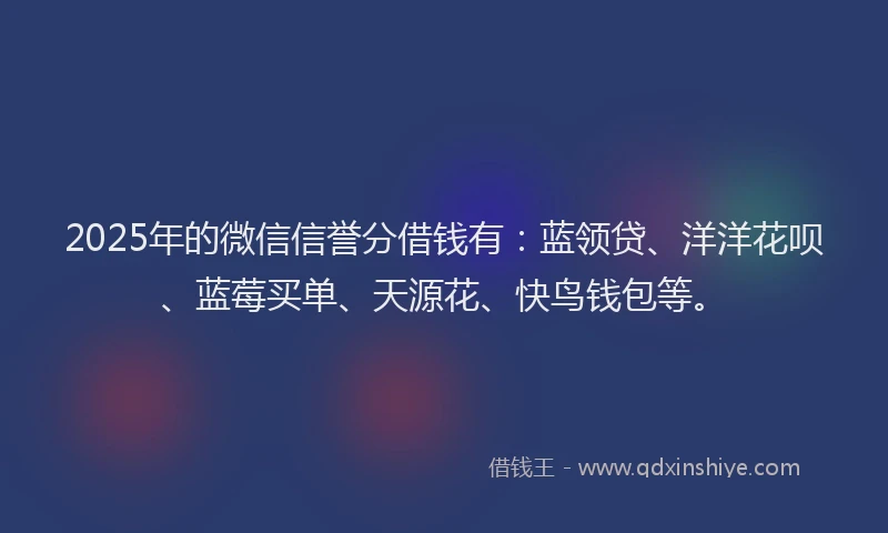 2025年的微信信誉分借钱有：蓝领贷、洋洋花呗、蓝莓买单、天源花、快鸟钱包等。