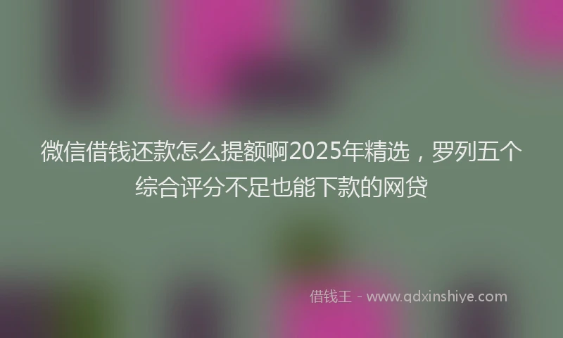 微信借钱还款怎么提额啊2025年精选，罗列五个综合评分不足也能下款的网贷