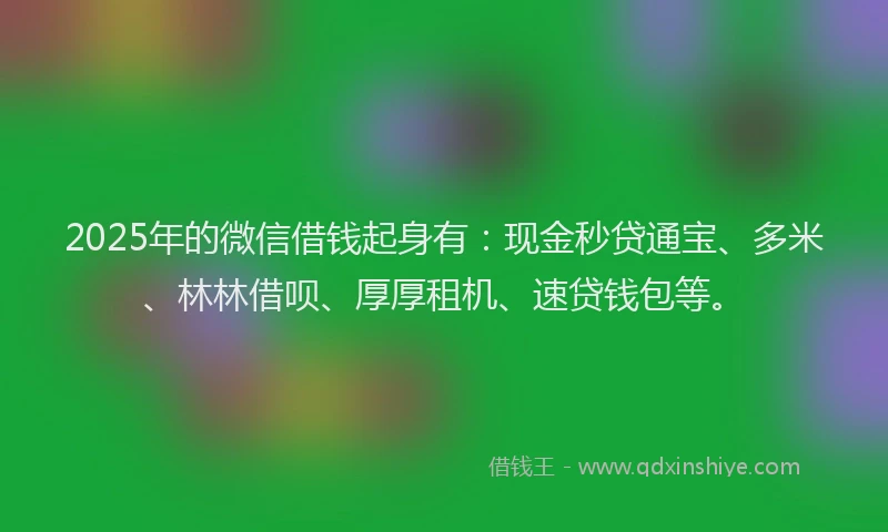 2025年的微信借钱起身有：现金秒贷通宝、多米、林林借呗、厚厚租机、速贷钱包等。
