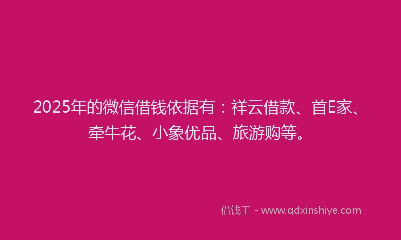 2025年的微信借钱依据有：祥云借款、首E家、牵牛花、小象优品、旅游购等。