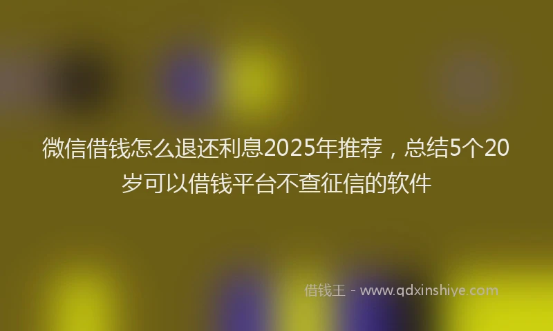 微信借钱怎么退还利息2025年推荐，总结5个20岁可以借钱平台不查征信的软件