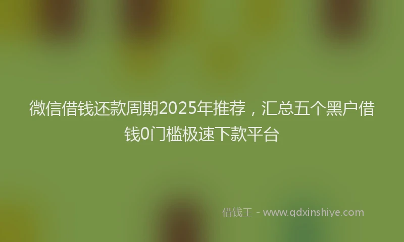 微信借钱还款周期2025年推荐，汇总五个黑户借钱0门槛极速下款平台