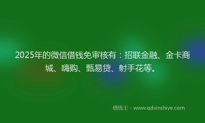 2025年的微信借钱免审核有：招联金融、金卡商城、嗨购、甄易贷、射手花等。