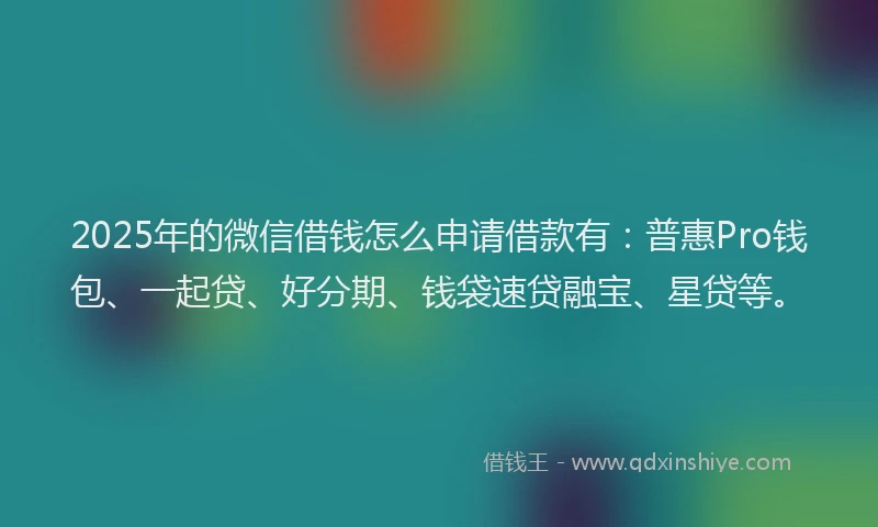2025年的微信借钱怎么申请借款有：普惠Pro钱包、一起贷、好分期、钱袋速贷融宝、星贷等。