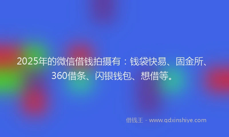 2025年的微信借钱拍摄有：钱袋快易、固金所、360借条、闪银钱包、想借等。