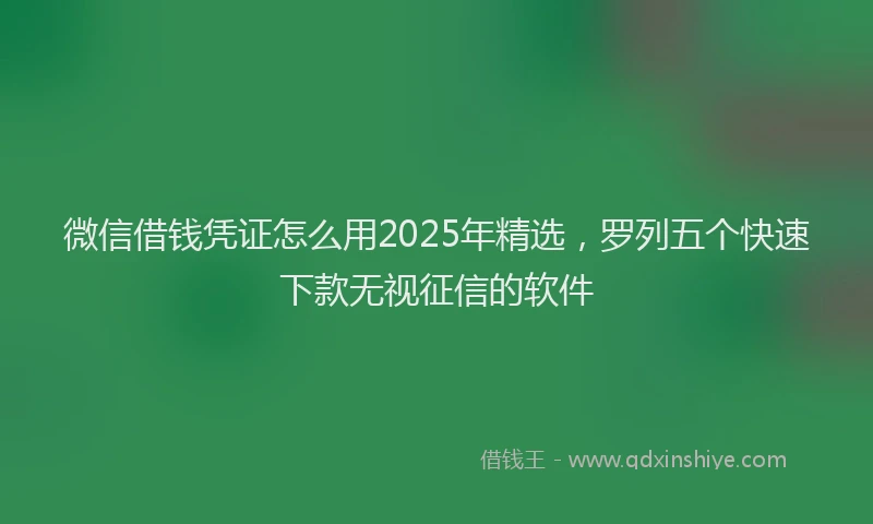 微信借钱凭证怎么用2025年精选，罗列五个快速下款无视征信的软件