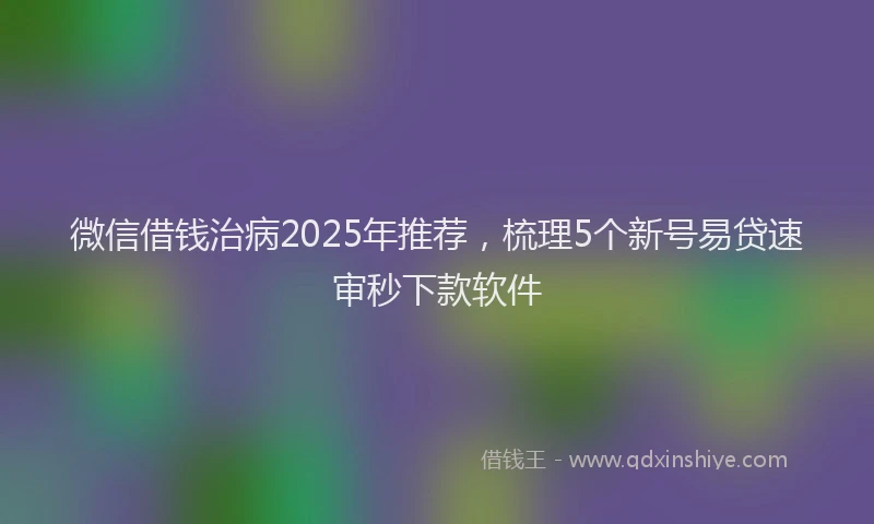 微信借钱治病2025年推荐，梳理5个新号易贷速审秒下款软件